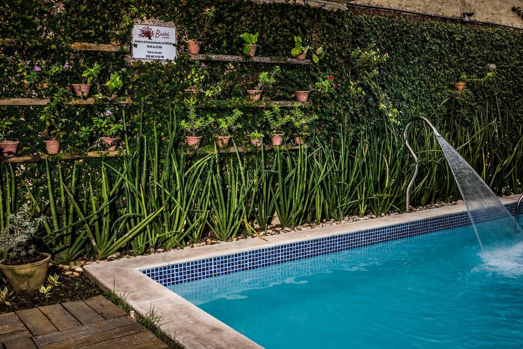 Pousada Baoba E Spa Olinda Luaran gambar